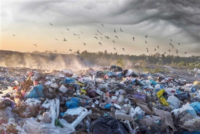 Iingxowa ezingalukwanga zokuPakisha ukutya kunye nokuthengisa|Eco Friendly Elternative to Plastic